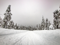 Riisitunturi National Park